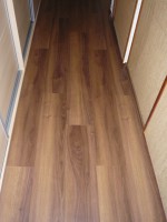 /album/galeria/p1130497-jpg1/